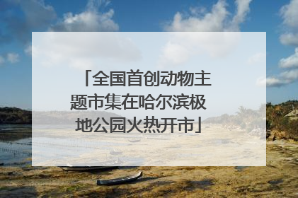 全国首创动物主题市集在哈尔滨极地公园火热开市