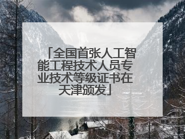 全国首张人工智能工程技术人员专业技术等级证书在天津颁发