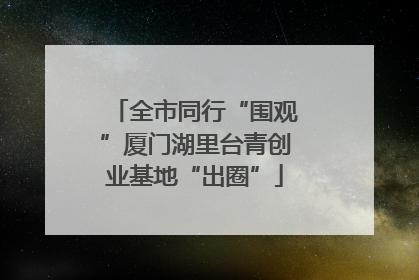 全市同行“围观”厦门湖里台青创业基地“出圈”