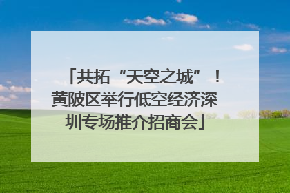 共拓“天空之城”！黄陂区举行低空经济深圳专场推介招商会