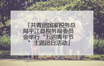 共青团国家税务总局平江县税务局委员会举行“五四青年节”主题团日活动