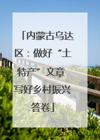 内蒙古乌达区：做好“土特产”文章 写好乡村振兴答卷