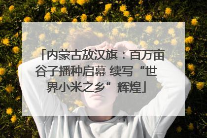内蒙古敖汉旗：百万亩谷子播种启幕 续写“世界小米之乡”辉煌