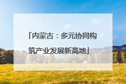 内蒙古：多元协同构筑产业发展新高地