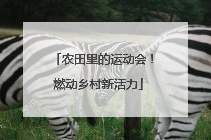 农田里的运动会！燃动乡村新活力