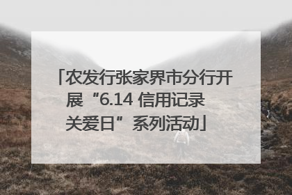 农发行张家界市分行开展“6.14 信用记录关爱日”系列活动