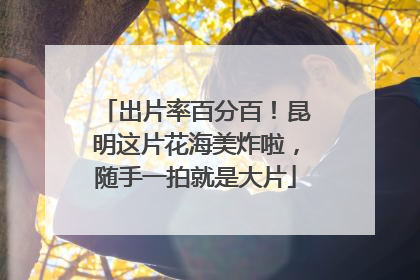 出片率百分百！昆明这片花海美炸啦，随手一拍就是大片