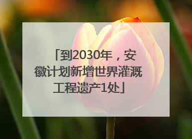 到2030年，安徽计划新增世界灌溉工程遗产1处