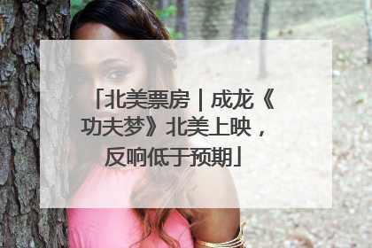 北美票房｜成龙《功夫梦》北美上映，反响低于预期