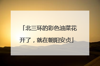 北三环的彩色油菜花开了，就在朝阳安贞