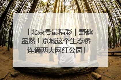 北京号最精彩｜野趣盎然！京城这个生态桥连通两大网红公园