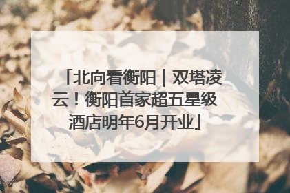 北向看衡阳｜双塔凌云！衡阳首家超五星级酒店明年6月开业