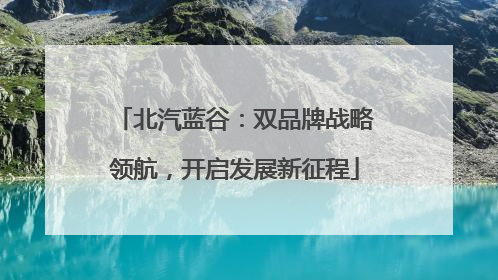 北汽蓝谷：双品牌战略领航，开启发展新征程