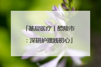 基层医疗丨醴陵市：深耕护理践初心