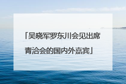 吴晓军罗东川会见出席青洽会的国内外嘉宾