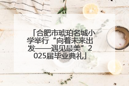 合肥市琥珀名城小学举行“向着未来出发——遇见最美”2025届毕业典礼