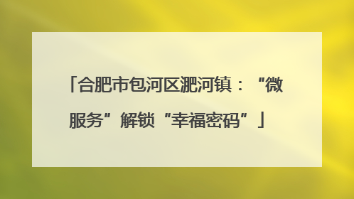 合肥市包河区淝河镇：“微服务”解锁“幸福密码”