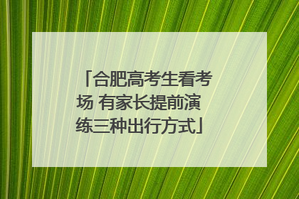 合肥高考生看考场 有家长提前演练三种出行方式