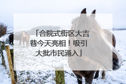 合院式街区大吉巷今天亮相！吸引大批市民涌入