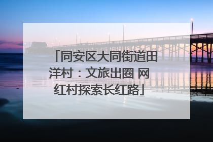 同安区大同街道田洋村：文旅出圈 网红村探索长红路