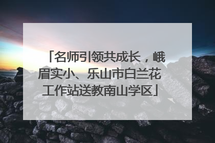 名师引领共成长，峨眉实小、乐山市白兰花工作站送教南山学区