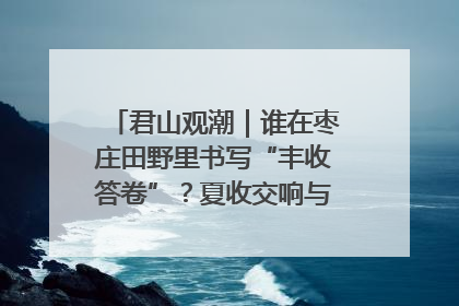 君山观潮｜谁在枣庄田野里书写“丰收答卷”？夏收交响与特色产业，共绘乡村振兴新图景