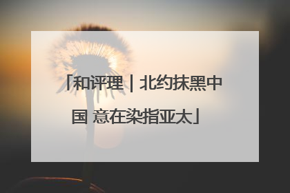 和评理｜北约抹黑中国 意在染指亚太