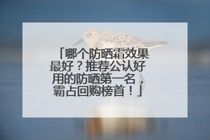 哪个防晒霜效果最好？推荐公认好用的防晒第一名，霸占回购榜首！