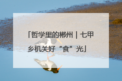 哲学里的郴州｜七甲乡机关好“食”光