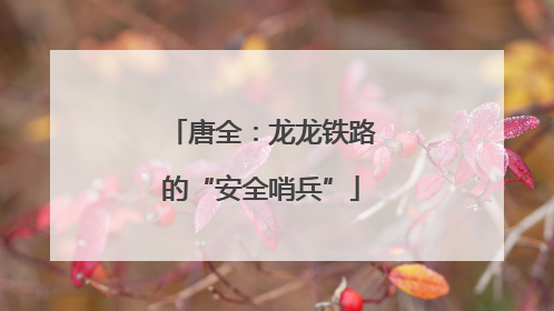 唐全：龙龙铁路的“安全哨兵”