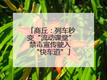商丘：列车秒变“流动课堂” 禁毒宣传驶入“快车道”