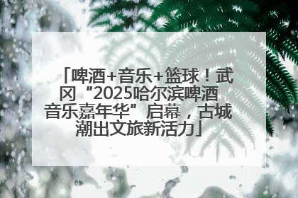 啤酒+音乐+篮球！武冈“2025哈尔滨啤酒音乐嘉年华”启幕，古城潮出文旅新活力