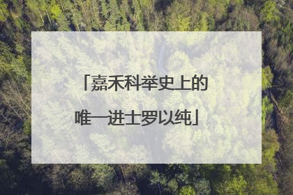 嘉禾科举史上的唯一进士罗以纯