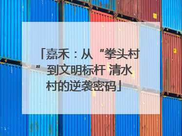 嘉禾：从“拳头村”到文明标杆 清水村的逆袭密码