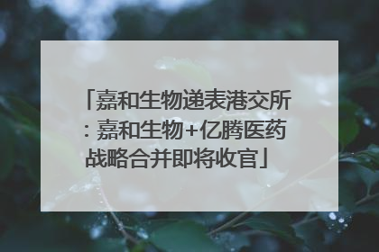 嘉和生物递表港交所：嘉和生物+亿腾医药战略合并即将收官