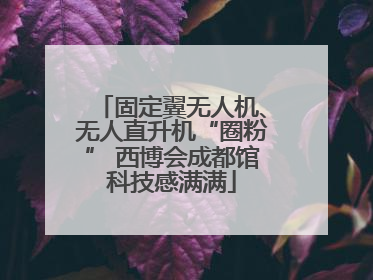 固定翼无人机、无人直升机“圈粉” 西博会成都馆科技感满满