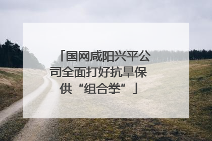 国网咸阳兴平公司全面打好抗旱保供“组合拳”