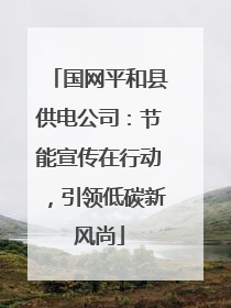 国网平和县供电公司：节能宣传在行动，引领低碳新风尚