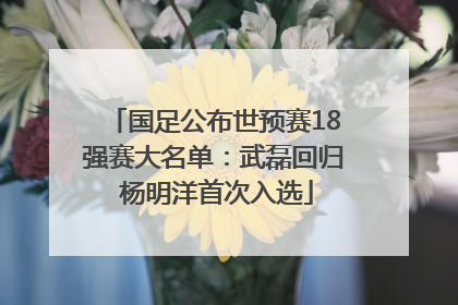 国足公布世预赛18强赛大名单：武磊回归 杨明洋首次入选