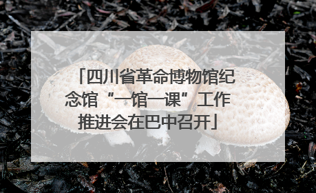 四川省革命博物馆纪念馆“一馆一课”工作推进会在巴中召开