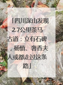 四川深山发现2.7公里茶马古道：立有石碑，杨慎、奢香夫人或都走过这条路