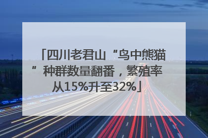 四川老君山“鸟中熊猫”种群数量翻番，繁殖率从15%升至32%