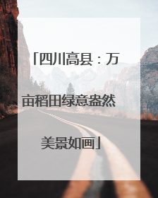 四川高县：万亩稻田绿意盎然 美景如画