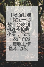 场面壮观！保定一地数十台收割机连夜抢收小麦，当地：农户自发，夏收工作基本完成
