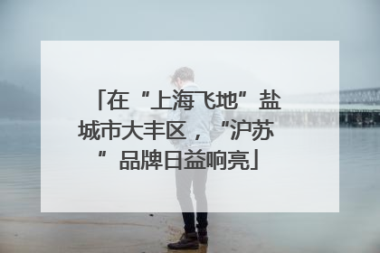 在“上海飞地”盐城市大丰区，“沪苏”品牌日益响亮