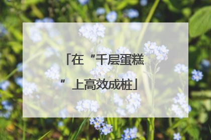 在“千层蛋糕”上高效成桩