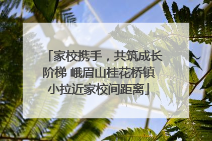 家校携手，共筑成长阶梯 峨眉山桂花桥镇小拉近家校间距离
