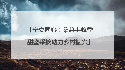 宁夏同心：桑葚丰收季 甜蜜采摘助力乡村振兴