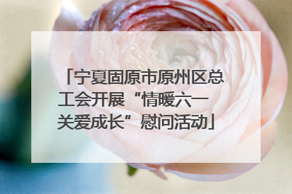 宁夏固原市原州区总工会开展“情暖六一 关爱成长”慰问活动