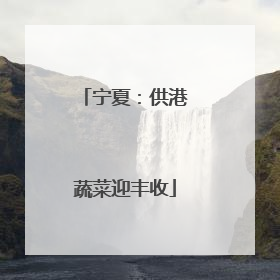 宁夏：供港蔬菜迎丰收